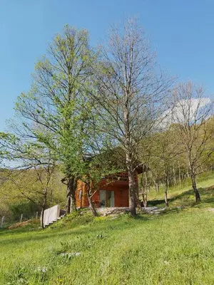 a house in the middle of a field with trees at Kuća u šumi - Forest house near National park Una - Air Spa Lohovo in Bihać
