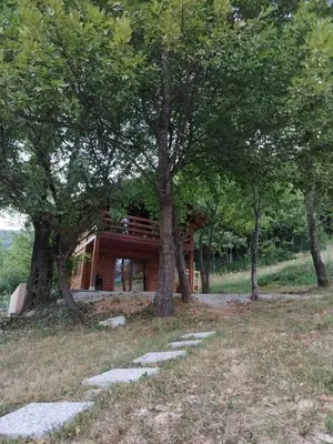 a house in the middle of a field with trees at Kuća u šumi - Forest house near National park Una - Air Spa Lohovo in Bihać