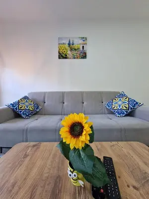a living room with a couch and a sunflower on a table at Square Studio Tuzla in Tuzla