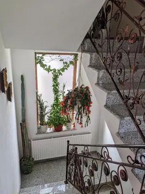 a staircase with potted plants on a window ledge at Apartmani Hrastik 2 in Bihać