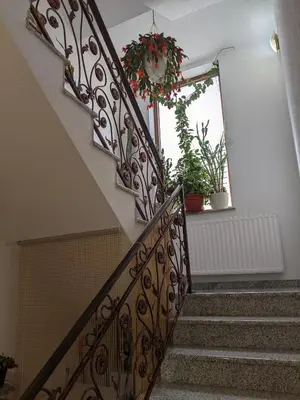a staircase with a wrought iron railing and a window at Apartmani Hrastik 2 in Bihać