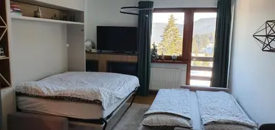 a bedroom with a bed and a tv and a window at Vlašićka ruža Eko FIS 303 in Vlasic