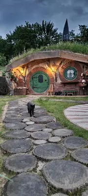 a black bear walking on a stone path in front of a building at Zemljane kućice Kreševo in Kreševo