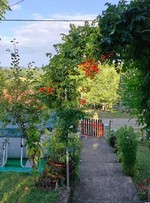 a garden with red flowers and a fence at Vikendica Cokori in Banja Luka