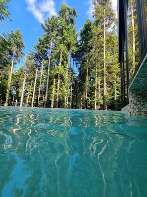 a pool of water with trees in the background at Bijele Vode spa&nature hotel in Prijedor