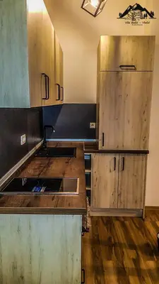 a kitchen with a sink and wooden cabinets at Vila Bašić Vlašić Apartman VUK in Vlasic