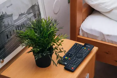 a table with a remote control and a potted plant at Domaćinska Kuća Banja Luka in Banja Luka