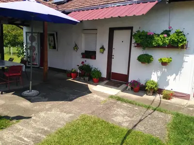 a house with potted plants and a table and an umbrella at Blossom Cottage - ''Green Tourism'' in Laktaši