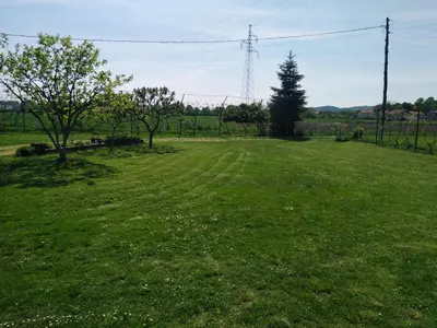 a field of green grass with a tree in it at Blossom Cottage - ''Green Tourism'' in Laktaši