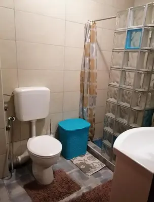 a bathroom with a toilet and a shower and a sink at Winter apartman Vlasic in Šišava