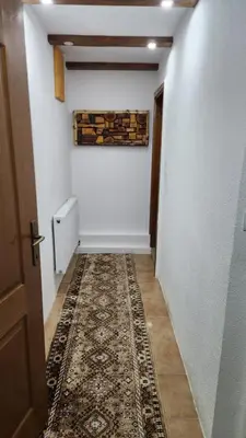 a hallway with a room with a fireplace and a rug at Winter apartman Vlasic in Šišava