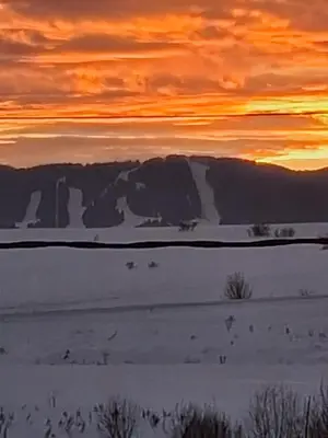 a sunset over a snowy field with animals in the distance at Apartman Vuvuzela in Kupres