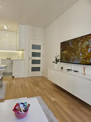 a living room with a large flat screen tv at Apartman Blok 51 in Banja Luka