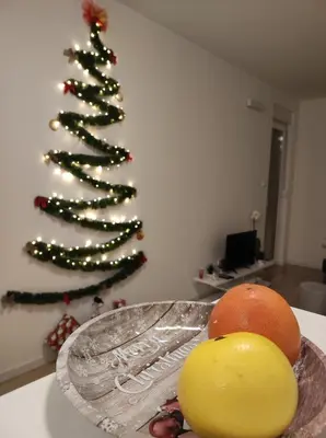a christmas tree in a living room with a plate of fruit at Apartman 7 Ladies in Banja Luka