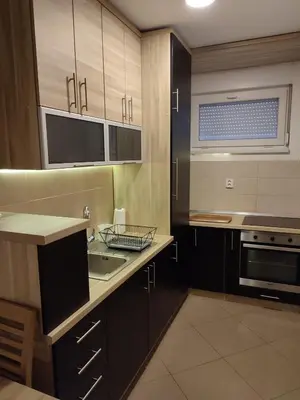 a kitchen with wooden cabinets and a sink at Mila apartman in Banja Luka