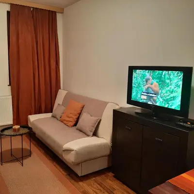 a living room with a couch and a flat screen tv at Apartman Pahuljica Vlašić in Vlasic