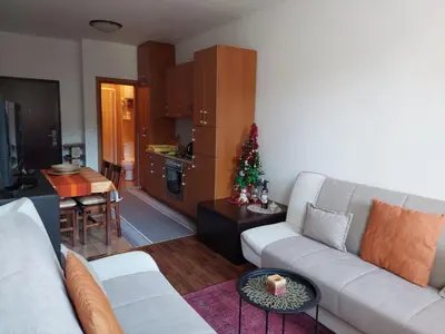 a living room with a couch and a christmas tree at Apartman Pahuljica Vlašić in Vlasic