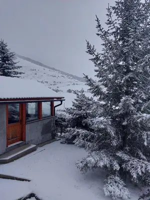 a cabin with a snow covered tree next to it at Kuća za odmor VITICA s vanjskim kaminom in Kupres