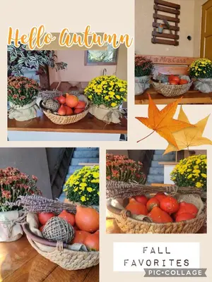 a collage of pictures of baskets of oranges and flowers at Kuća za odmor La Mia Casa in Doboj