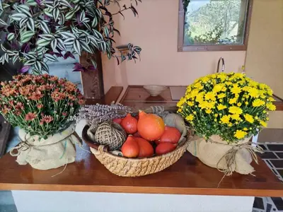 two baskets of fruit and flowers on a table at Kuća za odmor La Mia Casa in Doboj