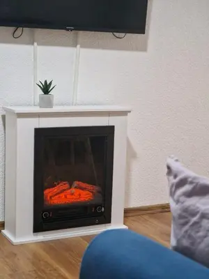 a living room with a fireplace with food inside at Apartments Gradiska in Bosanska Gradiška