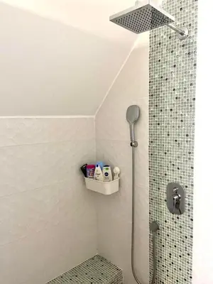 a bathroom with a shower with a shower head at Farmhouse Dzeni in Vlasic