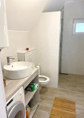 a bathroom with a sink and a toilet at Farmhouse Dzeni in Vlasic
