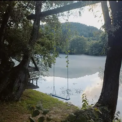 a swing hanging from a tree next to a lake at Vikendica Mimiena in Račić