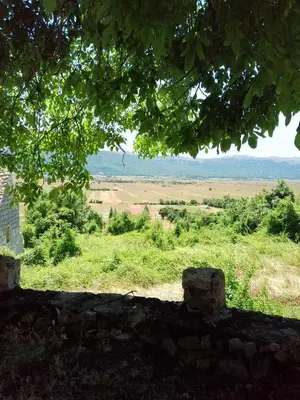 a view of a field from under a tree at Barun apartman in Lusnić