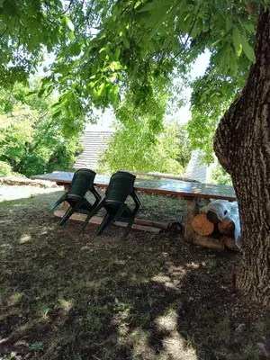a picnic table and two chairs under a tree at Barun apartman in Lusnić