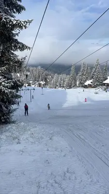 a group of people skiing down a snow covered slope at Perfect Holidays in Vlasic
