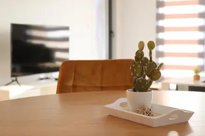 a cactus in a white pot sitting on a table at LUX Apartmani Vlašićka čarolija in Travnik
