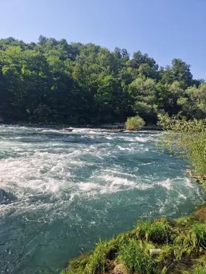 a river with white water and trees in the background at Eurouna relax in Bosanska Krupa
