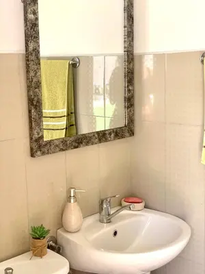 a bathroom with a sink and a mirror at Apartmani Lara&Sara in Bihać