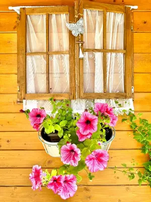 a window with a bunch of pink flowers and a butterfly at Apartmani Lara&Sara in Bihać