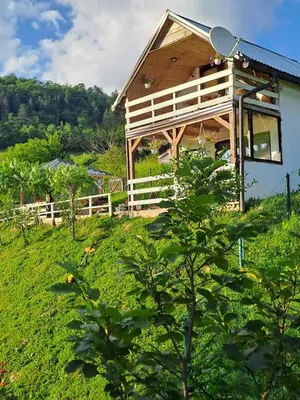 a house on a hill with a tree at Natural House in Visoko