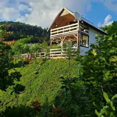 Natural House