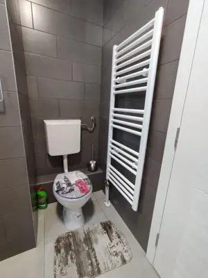 a bathroom with a toilet and a window and a rug at Golemovic Comfort Stay in Banja Luka