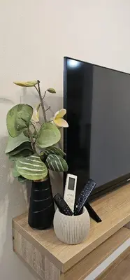 a plant sitting on a shelf next to a tv at Apartmani blue i green in Bugojno