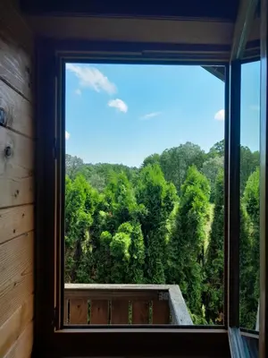 a window with a view of a forest at River house - Riječna idila in Cazin