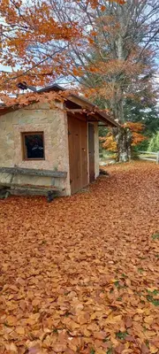 a house sitting on top of a pile of leaves at Montecasa in Travnik