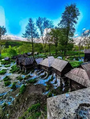 a group of huts on a river in a field at Nomad Glamping in Šipovo