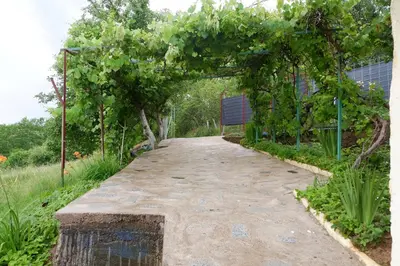 a walkway with a bench under an arch of trees at Bosnian Mountain Retreat in Prijedor