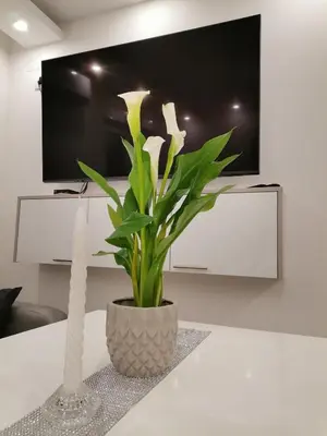 a vase with flowers on a table in a living room at City Break Apartment in Banja Luka