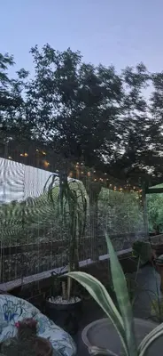 a patio with a fence and a potted plant at Dream weekend house in Visoko