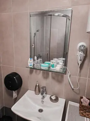 a bathroom with a sink and a mirror at Apartman Vila Bojana in Budžak