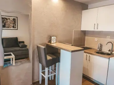 a small kitchen with a bar and a couch at Apartman Vila Bojana in Budžak