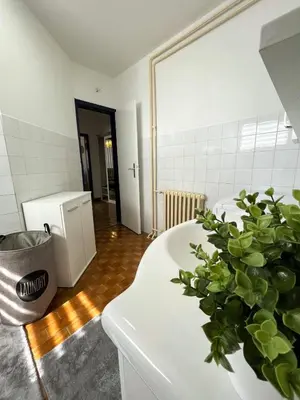 a kitchen with a white counter with a potted plant at Apartman MS in Bosanska Dubica