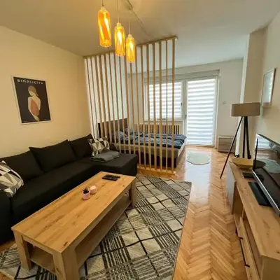 Apartman MS