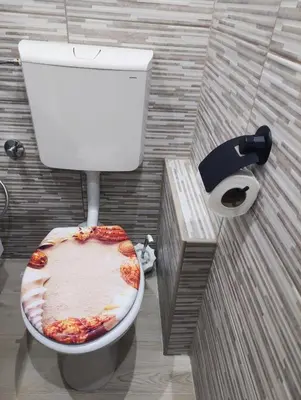 a bathroom with a toilet with food on the seat at Hacienda Burzić in Kulen Vakuf